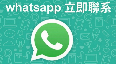 WhatsApp客服